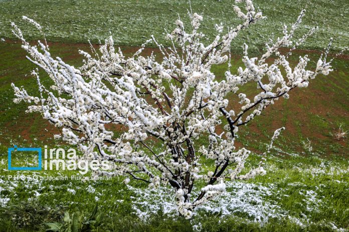 دریاچه ارومیه این هفته پرباران‌ترین حوضه آبی کشور است