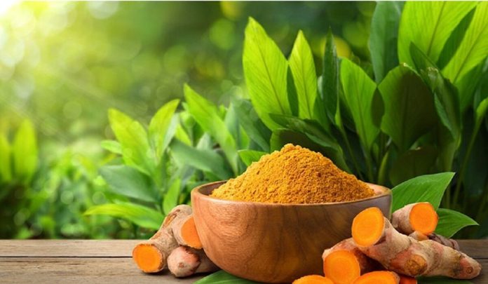 معرفی روشی نوین برای شناسایی ناخالصی‌های زردچوبه