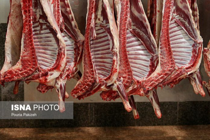 دولت و حذف ارز ترجیحی گوشت قرمز؛ نگاه بودجه محور یا امنیت غذایی؟