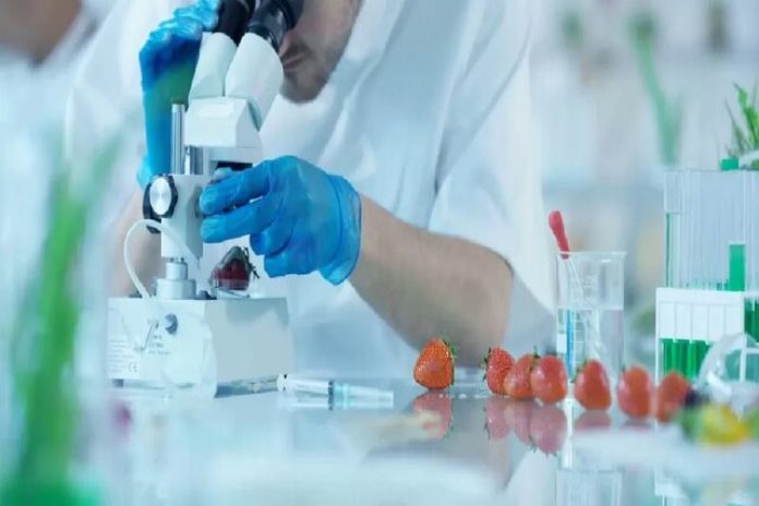 رقابت تیم‌های فناور برای ارائه بهترین فرمولاسیون فرآوری محصولات غذایی