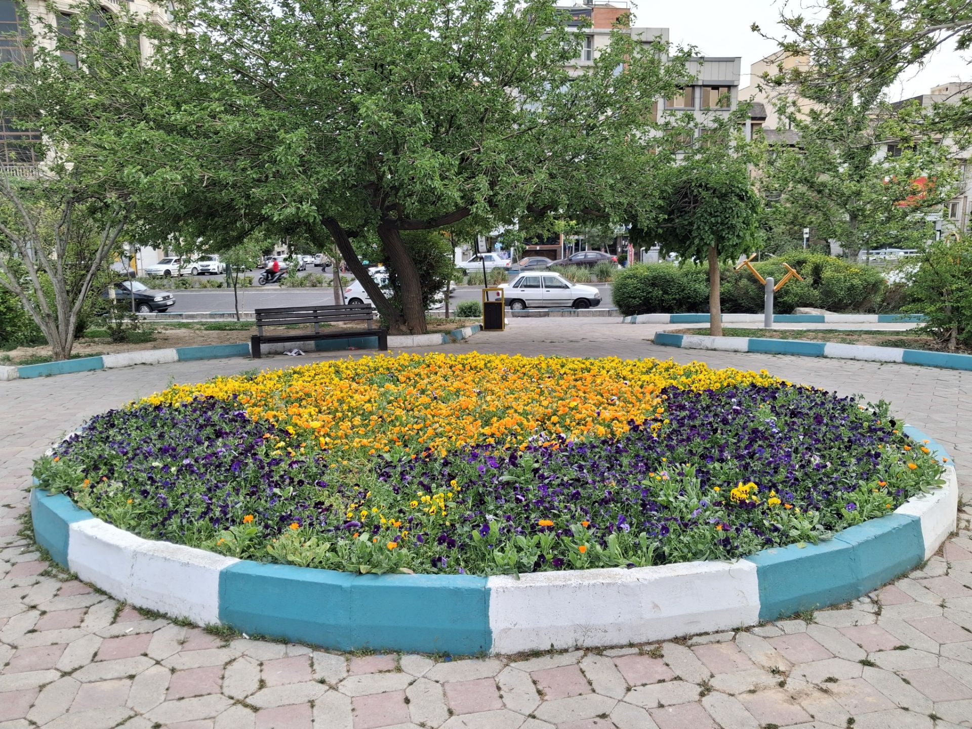 عکس دوربین اصلی گلکسی A26