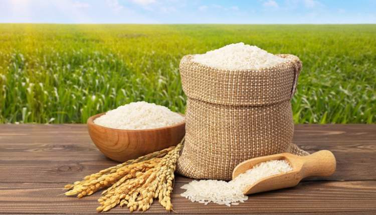 تغییر اقلیم در افزایش آرسنیک برنج نقش بسزایی دارد